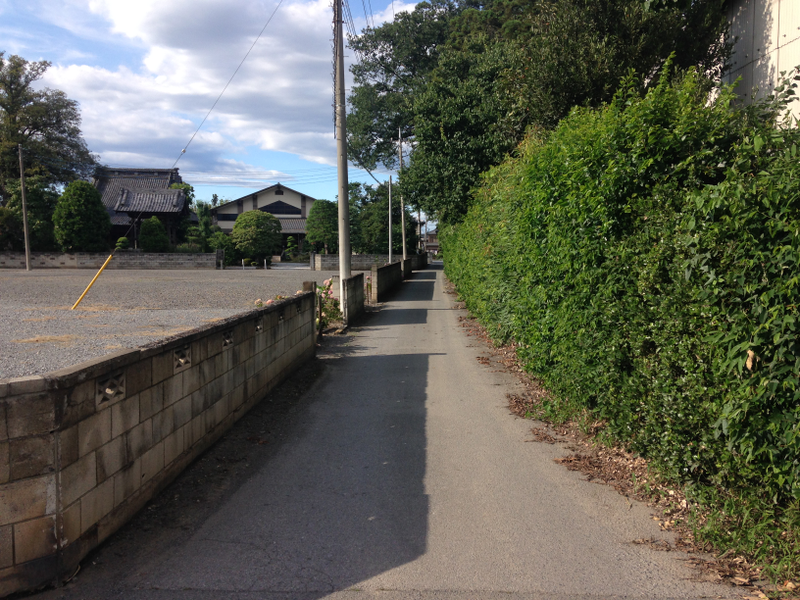 Illustration for article titled Here's What You'll Actually See When Driving Around Japan